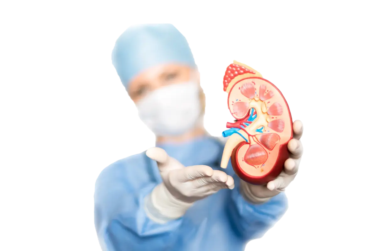 Nephrology & Urology