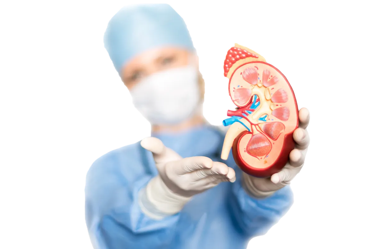 Nephrology & Urology